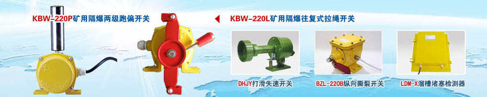 雙向拉繩開關演示