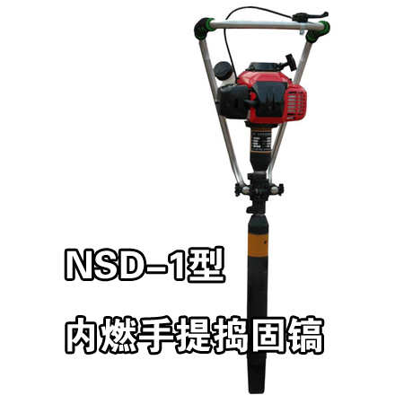 NSD-1�̓�ȼ����v���